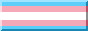 transgender flag