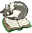 sleepy cat with book