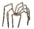 weird little spider guy